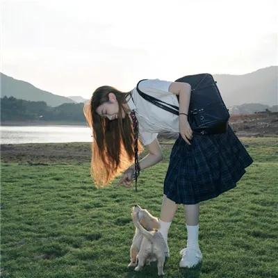 生命的圆圈