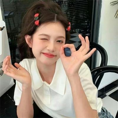 我在岛屿读书第二季