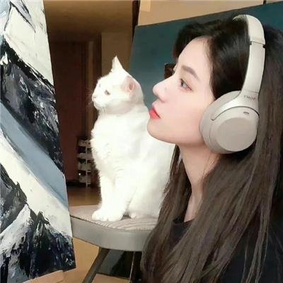 情侠艾夫传